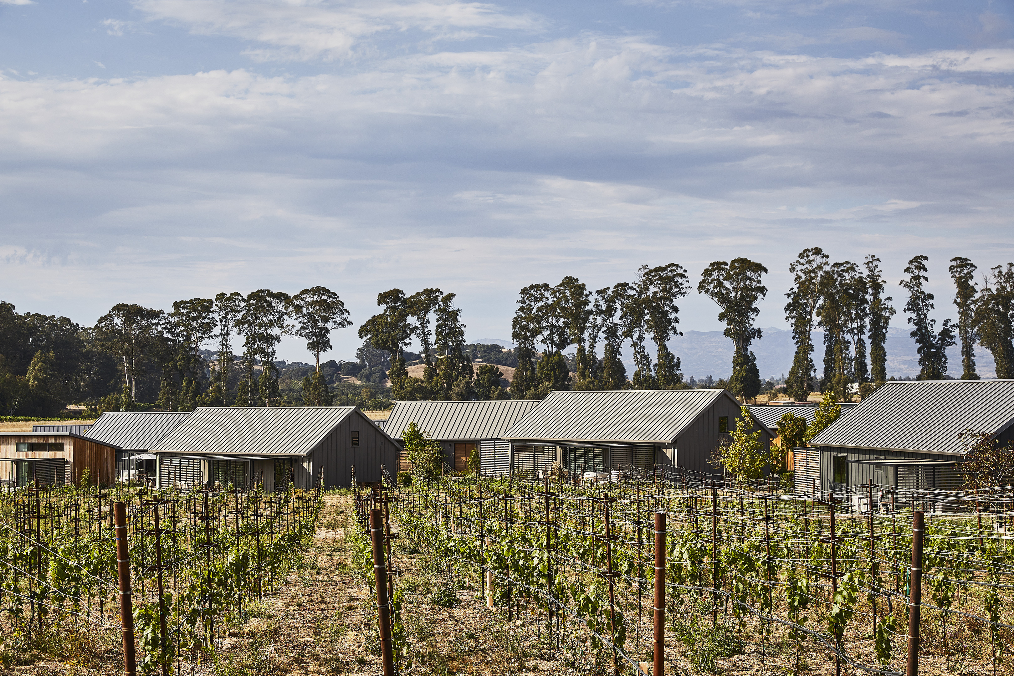 A vineyard with rows of grapevines in the foreground and several winery buildings with pitched roofs in the background, set against a backdrop of tall trees and a partly cloudy sky, forms the scenic setting for Stanly Ranch, a luxurious Auberge Resorts property.