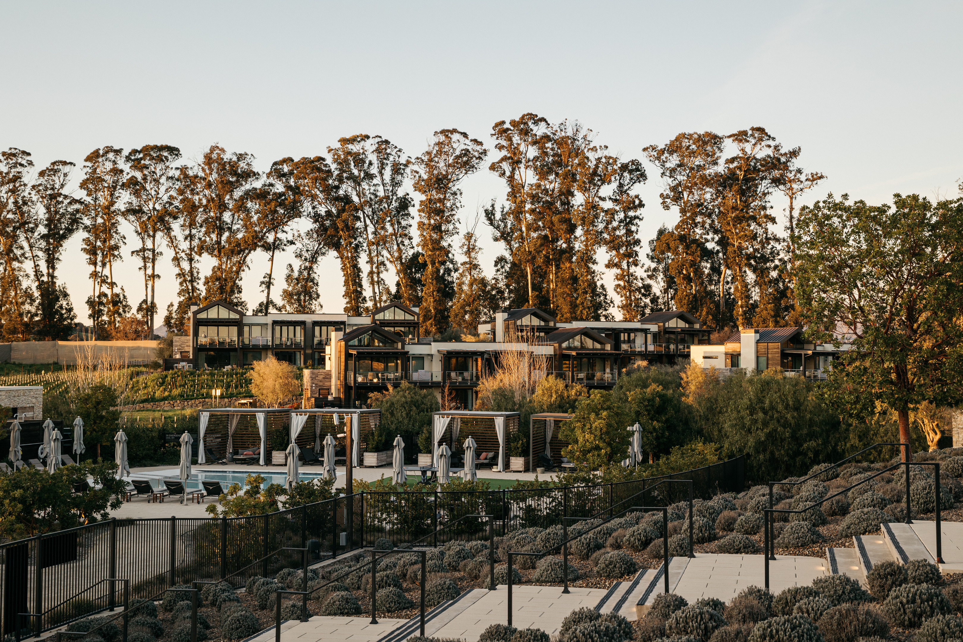 Stanly Ranch, part of the Auberge Resorts Collection, offers modern wood and glass cabins set among tall trees and landscaped gardens, complete with lounge chairs and shaded areas by a pristine pool.