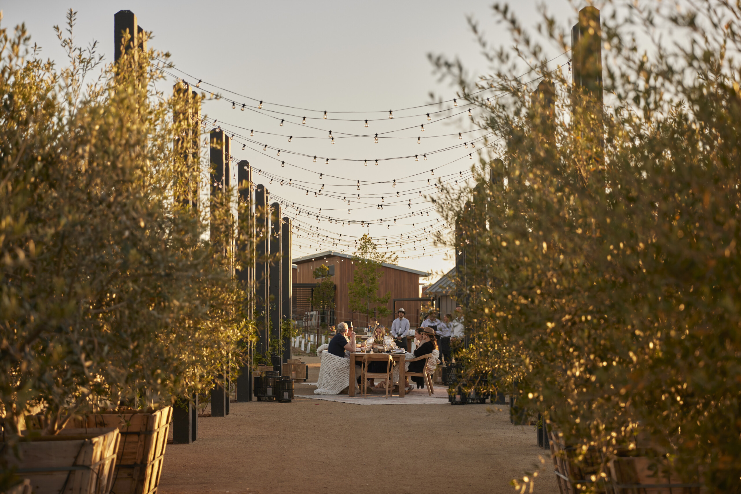 A small group of people sits around a table with string lights hanging above, surrounded by rows of plants at Stanly Ranch during sunset.