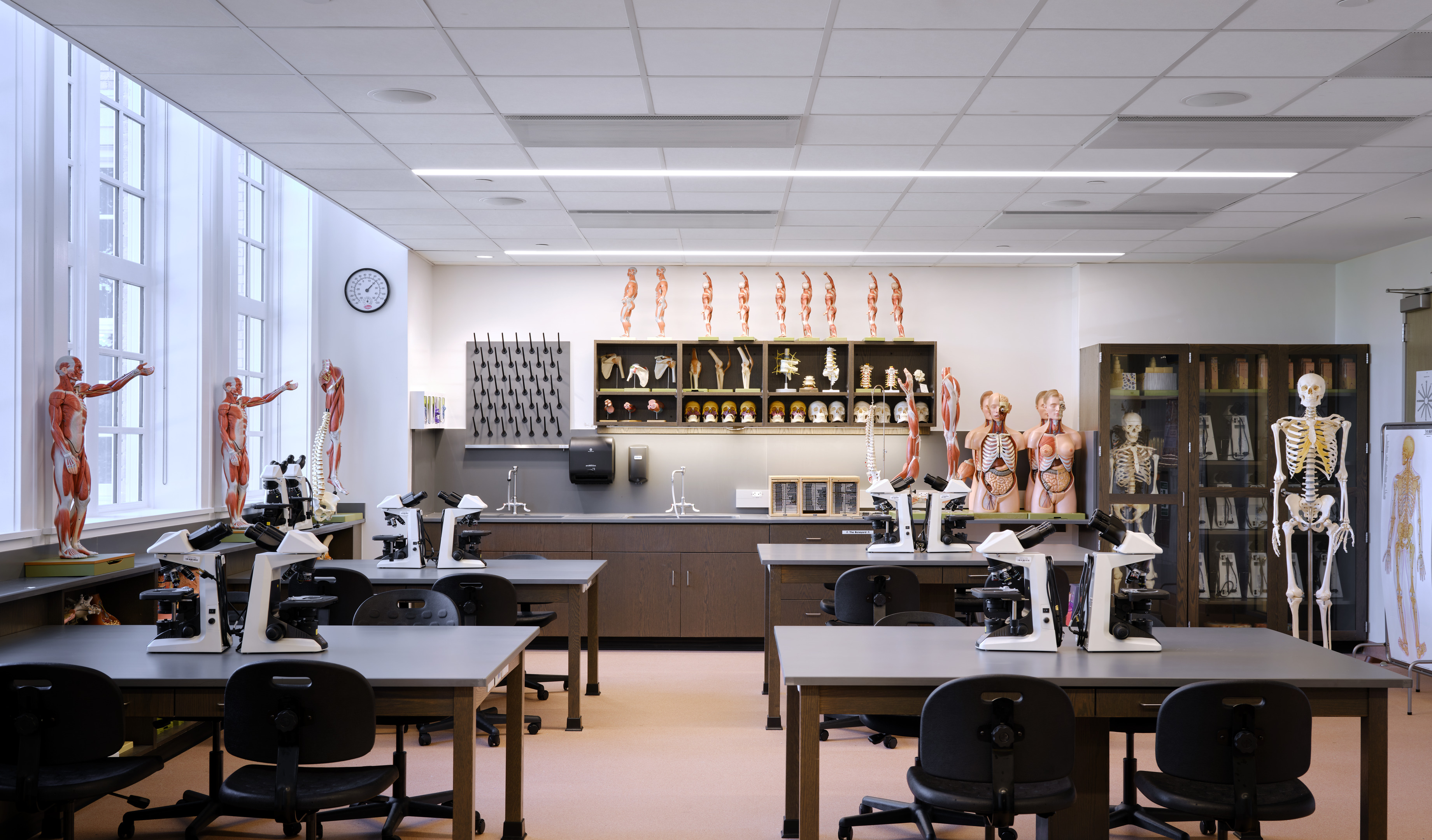 A brightly lit biology classroom at Austin Community College, recently enhanced by a thoughtful renovation, features anatomical models, microscopes on tables, and educational posters. Large windows provide natural light.