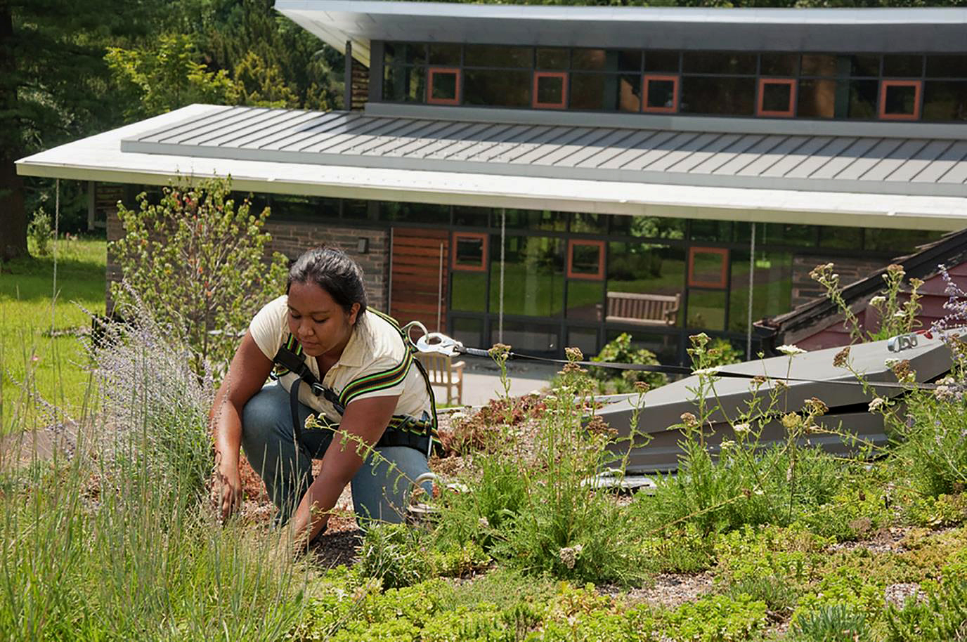 A person plants in a garden located on a sloped green roof with a modern building in the background, embracing sustainable practices.