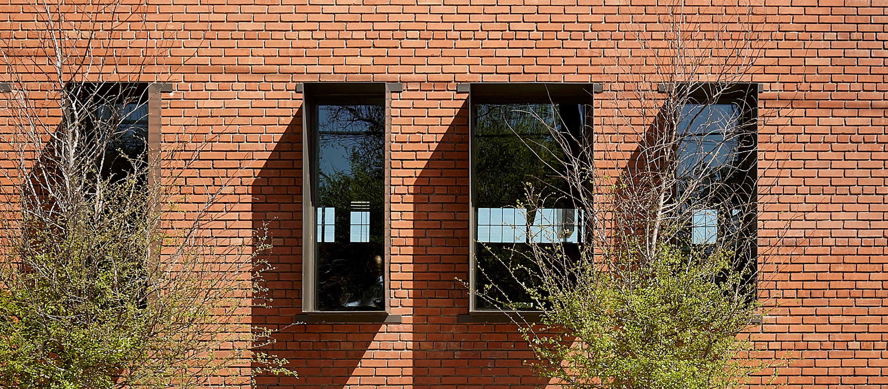 A brick building wall with three vertical windows, each reflecting the outdoor scene, flanked by leafless trees and green shrubs at the bottom.