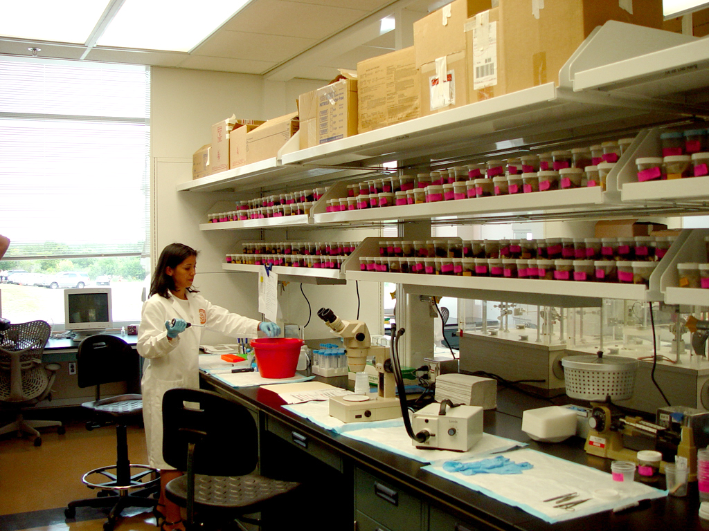 A researcher in a lab coat works at a lab bench surrounded by shelves filled with vials, meticulously ensuring every step follows the Auto Draft procedures. Lab equipment and supplies are organized on the counter.