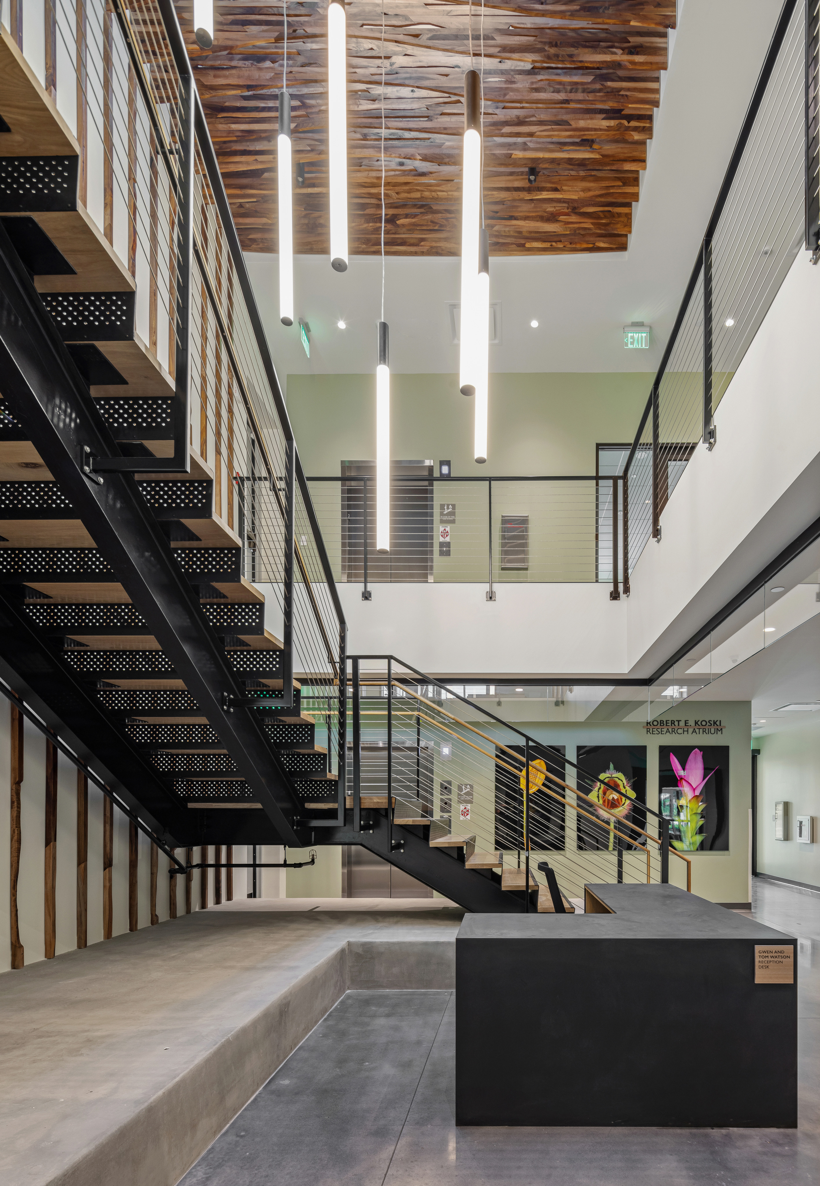 The modern interior of the multi-story building features industrial-style metal stairs, wooden ceiling accents, and hanging lights. Various art pieces adorn the walls, reminiscent of the natural beauty found at Marie Selby Botanical Gardens.