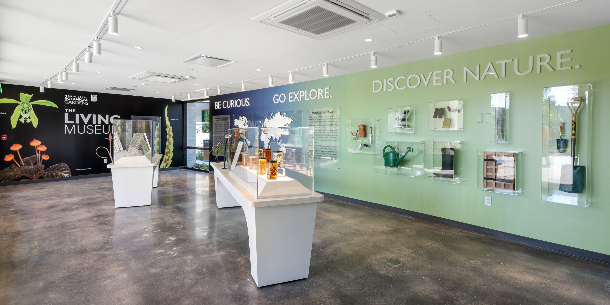 A modern exhibit space with displays of botanical specimens labeled "Living Museum," "Be Curious," "Go Explore," and "Discover Nature." Inspired by Selby Gardens, the room features polished concrete floors and track lighting, echoing the beauty of renowned Botanical Gardens.