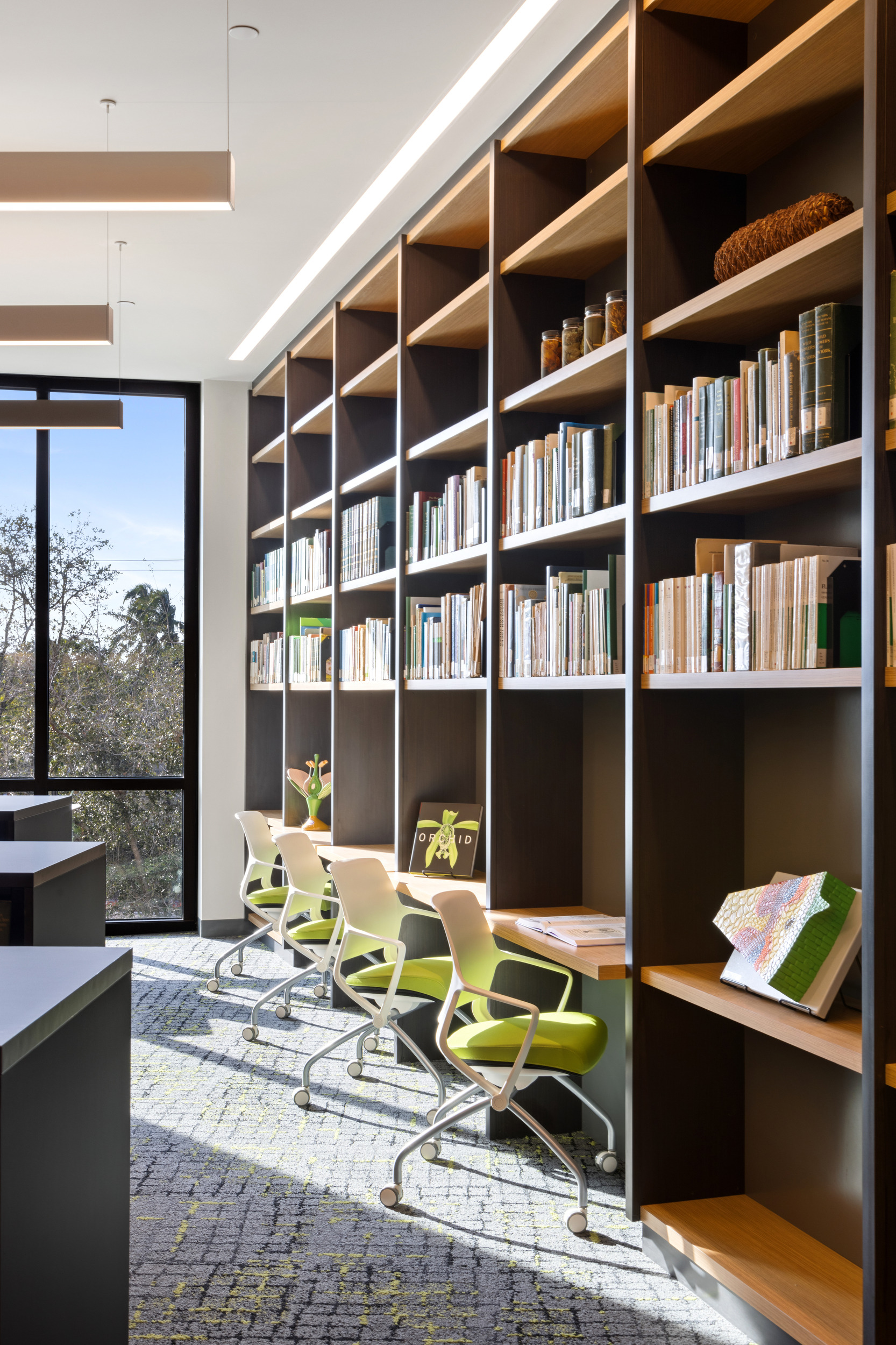 A modern library study area with tall bookshelves, four chairs, and desks by large windows. Natural light from the large windows illuminates the space, revealing views reminiscent of the serene Marie Selby Botanical Gardens outside.