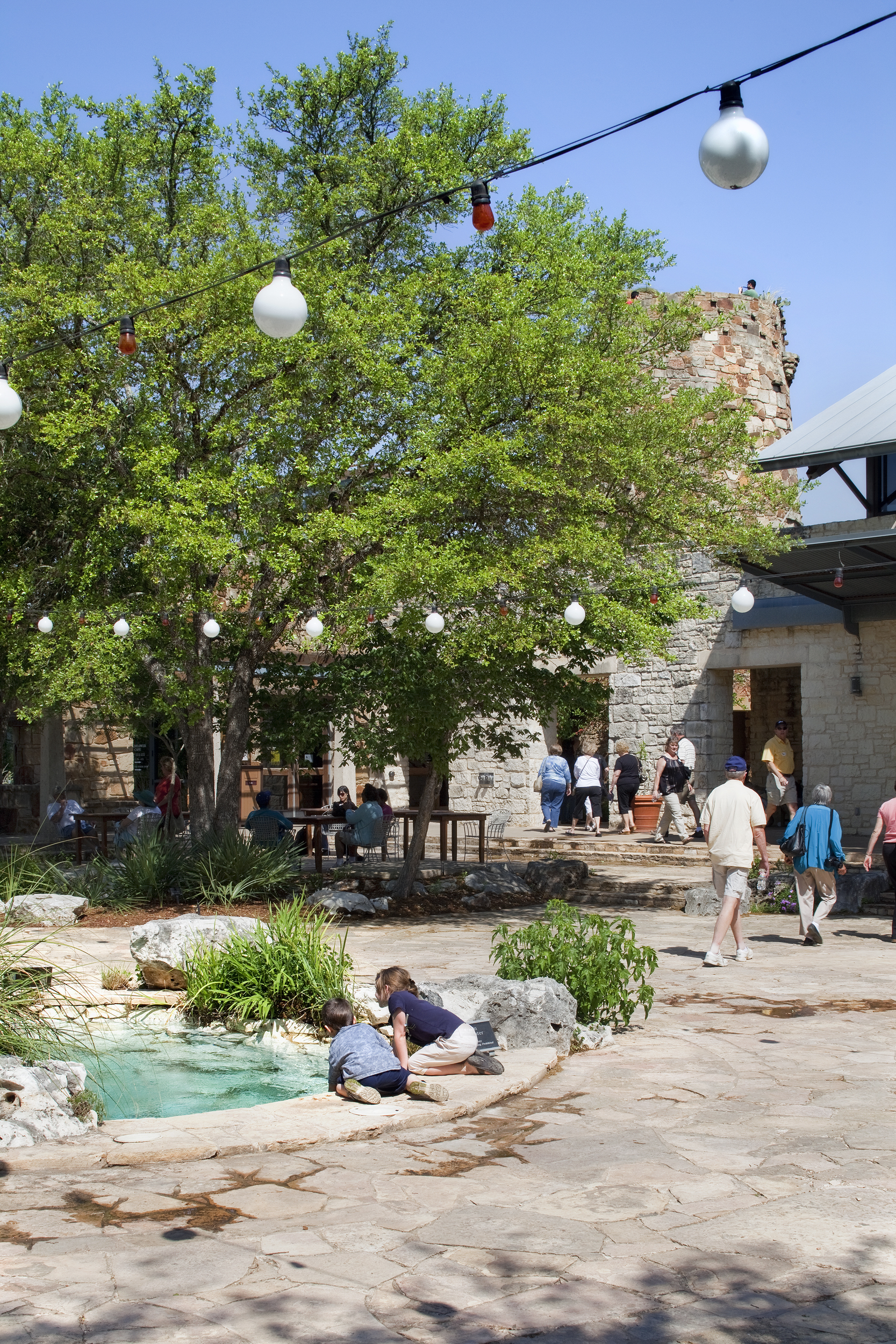 People enjoying an outdoor area at the Lady Bird Johnson Wildflower Center with a small pond, string lights, and stone paths on a sunny day. A large tree provides shade, and a stone building is in the background.