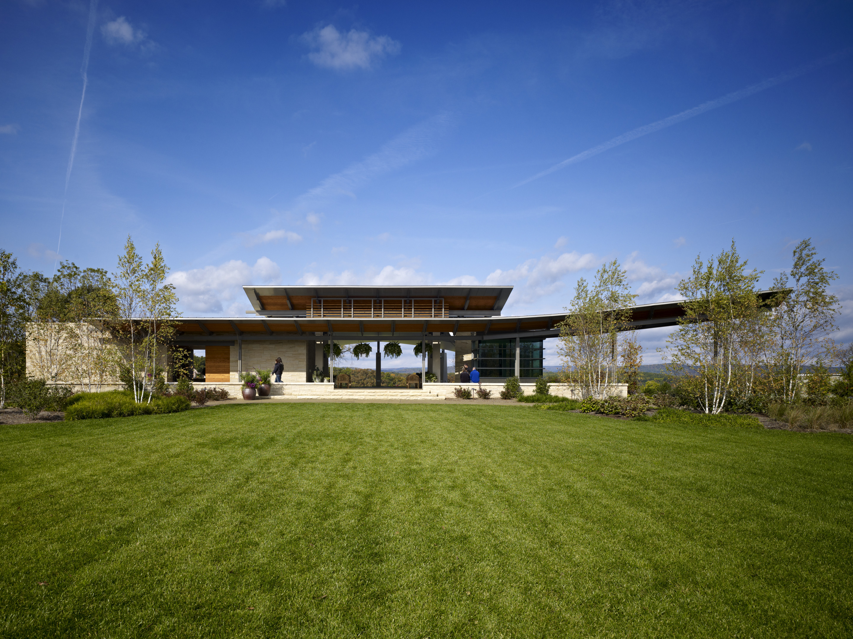 A modern building with large windows and a flat roof stands proudly amidst a landscaped lawn, birch trees swaying gently under the clear blue sky—a perfect auto draft of architectural elegance.