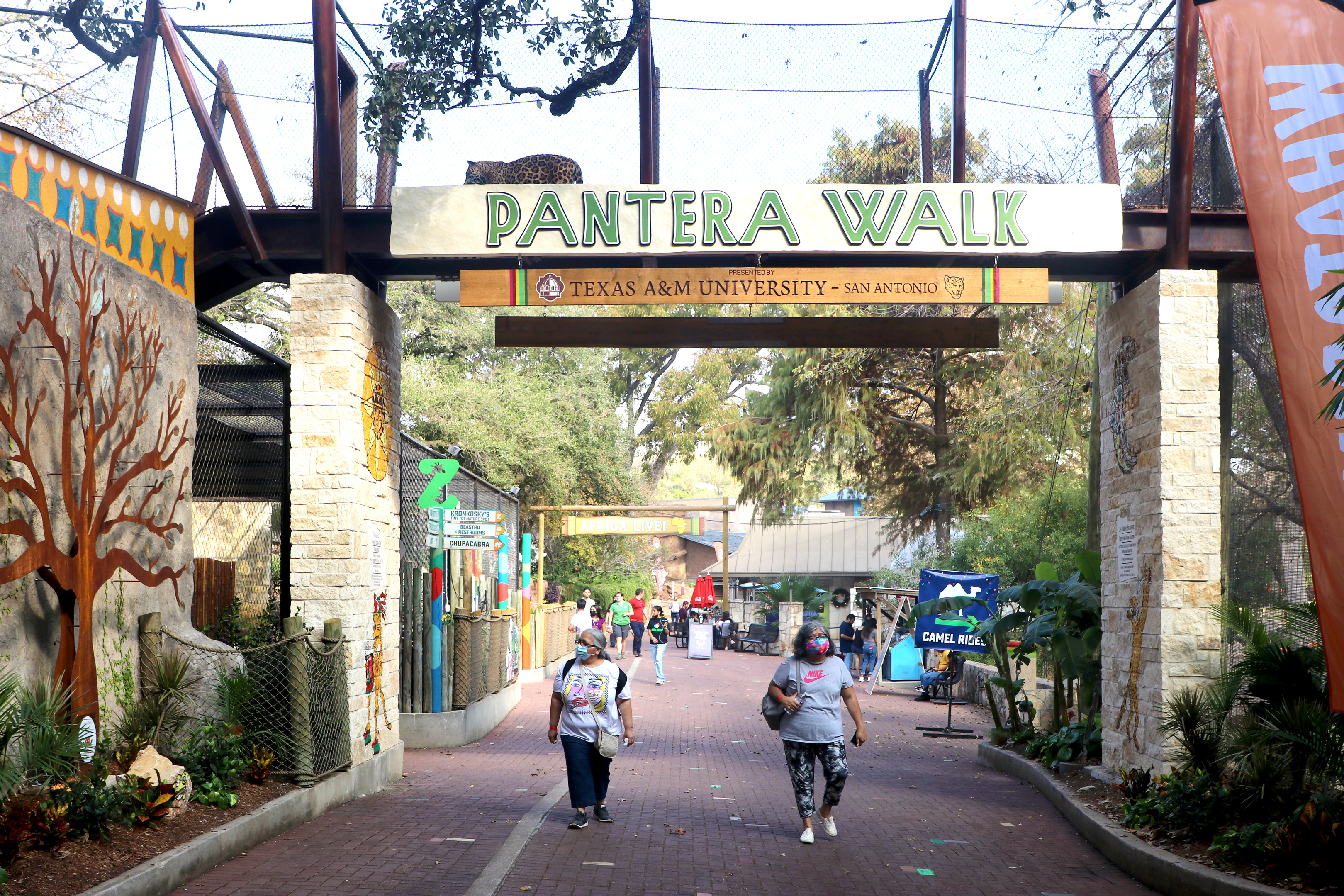 Entrance to "Pantera Walk" at Texas A&M University-San Antonio, where people stroll under a sign surrounded by trees and decorative elements, creating an atmosphere that feels organically crafted like an auto draft of nature's finest design.