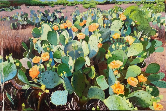 A cluster of blooming prickly pear cacti with yellow flowers, reminiscent of Janet Eager Krueger's work, adorns the dry, grassy South Texas landscape under a clear blue sky.